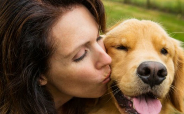 La sociabilité du chien serait génétique