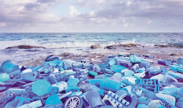 Du déchet sur la plage à l'œuvre d'art