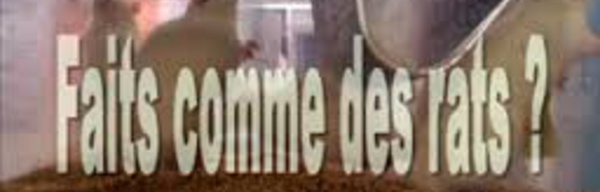 Insolite