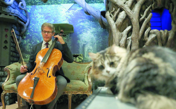 Pour calmer les matous, un violoncelliste leur crée un album