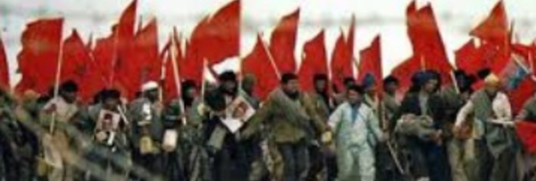 Des manifestations sportives d'envergure à Laâyoune à l’occasion de l’anniversaire de la Marche Verte