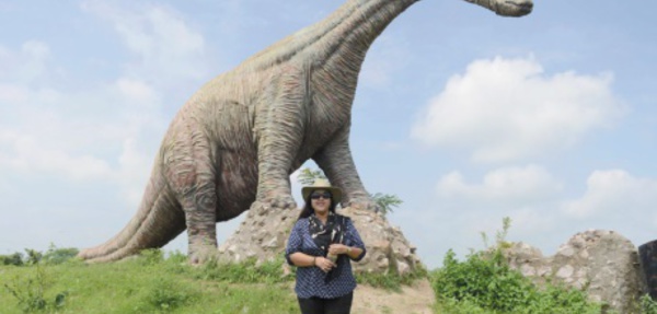 En Inde, une "princesse aux dinosaures" veille sur ses sujets fossilisés
