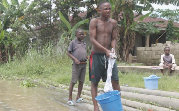 Au Sénégal, la préservation de la mangrove est une question de survie
