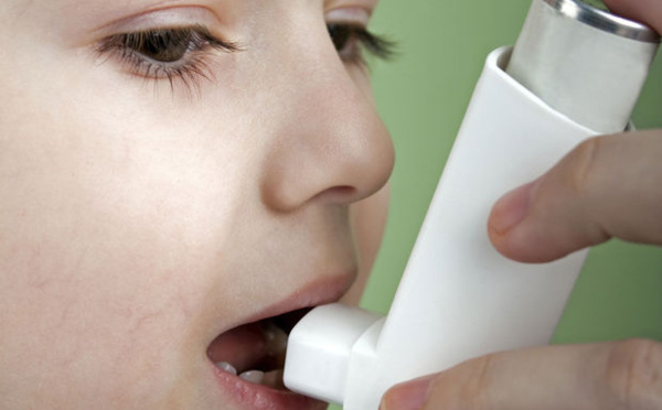 Une protéine sécrétée par un ver parasite offre un espoir contre l'asthme