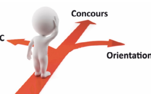 Les enjeux du choix d’orientation