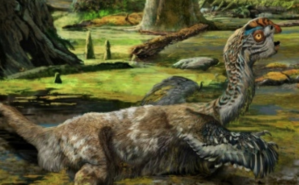 Un dinosaure de plus au catalogue