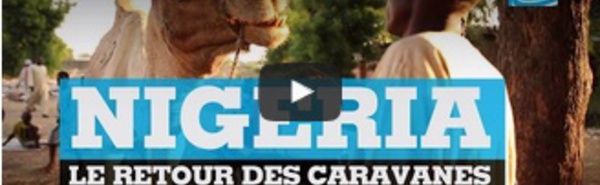 Le retour des caravanes de chameaux au Nigeria