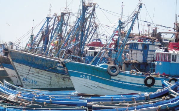 Hausse des débarquements de la pêche côtière et artisanale