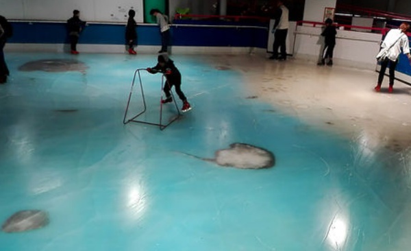Insolite : Fermeture de la patinoire