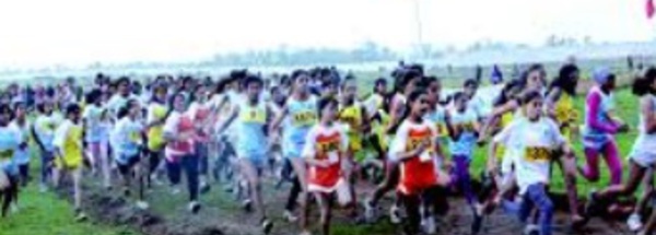 Bonnes performances au Championnat provincial de cross-country scolaire
