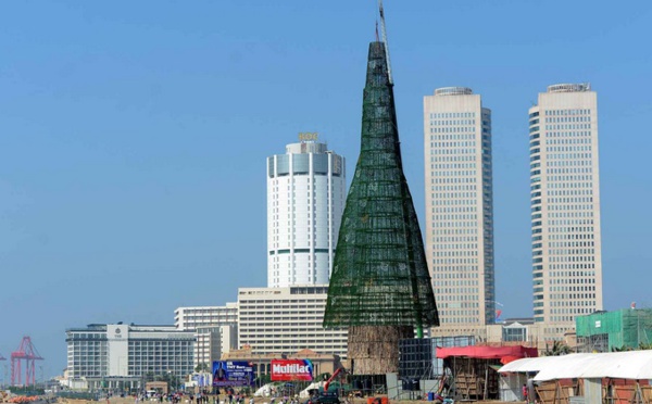 Insolite : Arbre de Noël