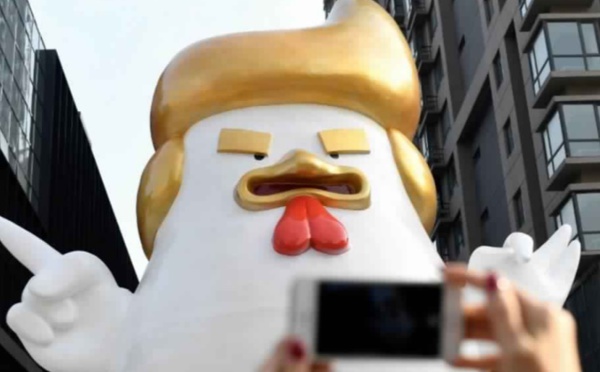 ​Trump réincarné en poulet