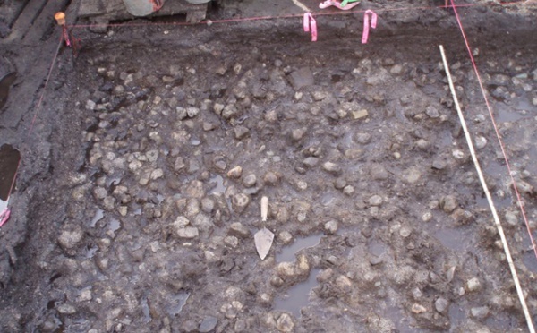 Un champ de patates datant de 3.800 ans découvert au Canada
