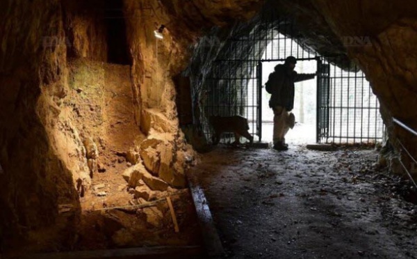 L'homme de Néandertal était bien cannibale