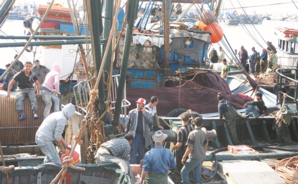 Les industriels  jugent “infondée” la demande d’augmentation des prix du poisson industriel