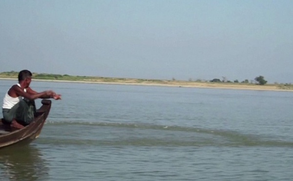 En Birmanie, les dauphins de l'Irrawaddy menacés d'extinction
