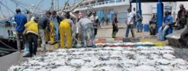 Hausse des débarquements de la pêche côtière et artisanale en 2016