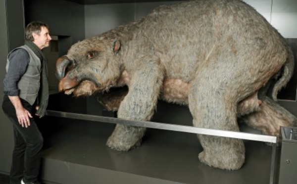 L'extinction d'animaux géants en Australie est due à l'homme