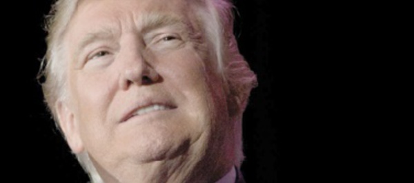Insolite : Une mite nommée Trump