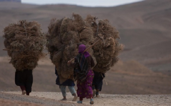 Le rapport alarmant d’un Maroc rural parent pauvre des politiques publiques
