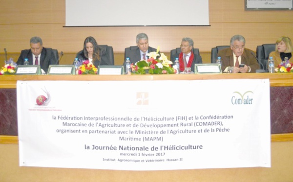 Une journée nationale consacrée à l'héliciculture