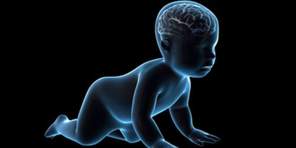 Une croissance rapide du cerveau des bébés annonciatrice d'autisme