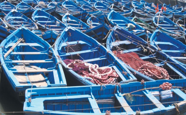 Le manque à gagner  généré par la surpêche : Plus de 80 milliards de dollars perdus annuellement à travers le monde