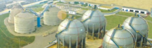 Hausse du résultat net d’Afriquia Gaz