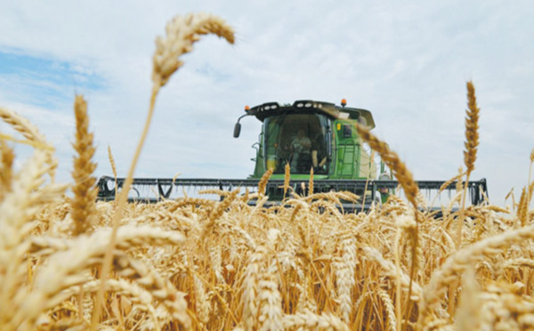 La campagne agricole s’annonce  sous de bons auspices