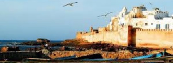 28 certificats négatifs délivrés à Essaouira en février