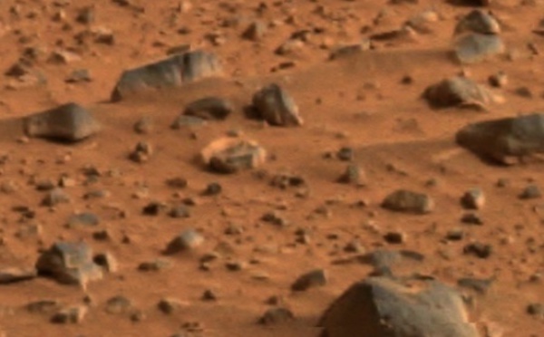 La pomme de terre pourrait pousser sur Mars