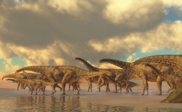 L'arbre généalogique des dinosaures  remis en cause