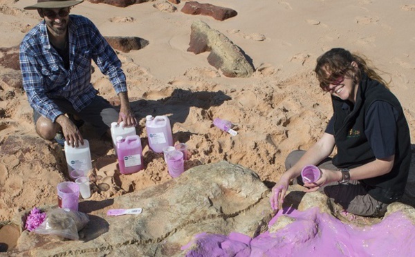 Découverte inédite dans le "Jurassic park" australien