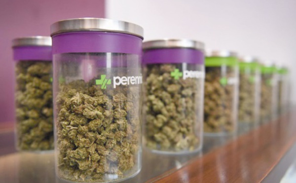 Le marché du cannabis aux USA en pleine croissance malgré l'incertitude Trump