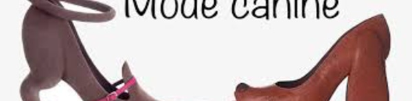 Insolite : Mode canine