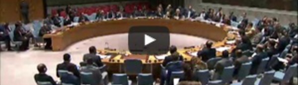 RDC : l'ONU vote à l'unanimité la réduction des effectifs de la Monusco
