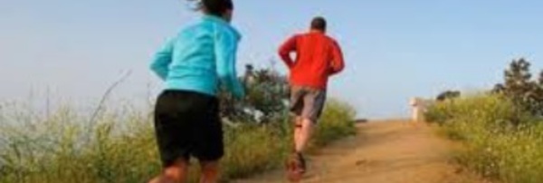 Le sport et l'environnement, les liaisons heureuses