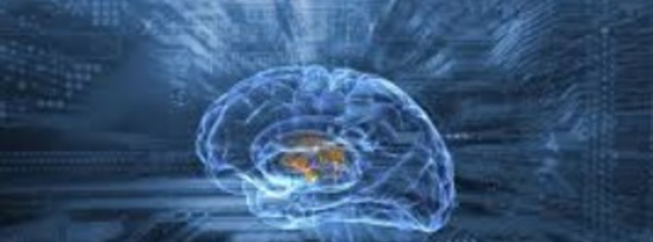 Le cerveau des super-seniors reste plus jeune