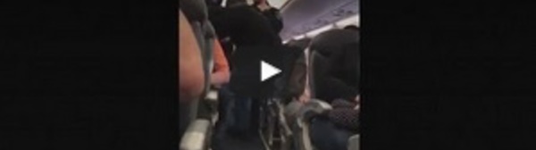 Le débarquement musclé d'un passager embarrasse United Airlines