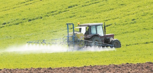 Bonnes perspectives pour la campagne agricole dans l’Oriental