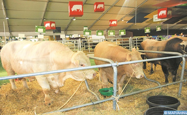 Valoriser et développer la filière des viandes rouges