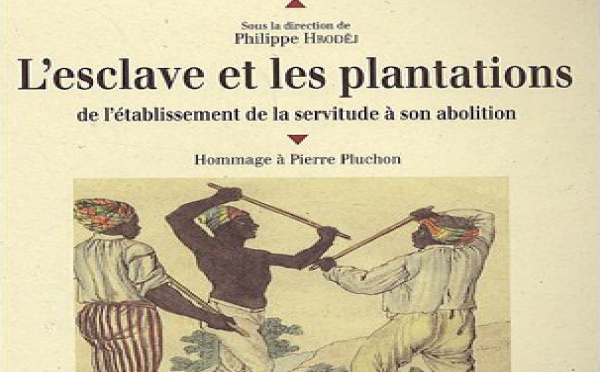 Le dernier ouvrage de Philippe Hrodej «L'esclave et les plantations».