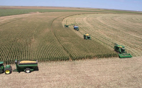 La reprise de l’activité agricole dope l’économie nationale