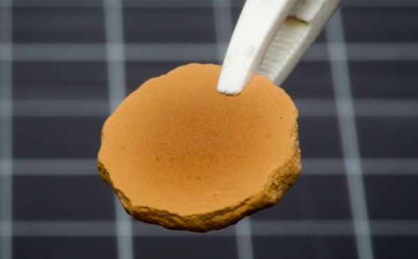 Des briques "made in Mars" pour les futurs colons de la planète rouge
