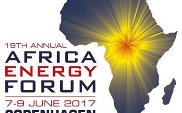 L'African Energy Forum en juin à Copenhague