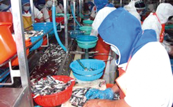 Traitement et congélation des produits de la mer : Une société de Dakhla primée à Genève
