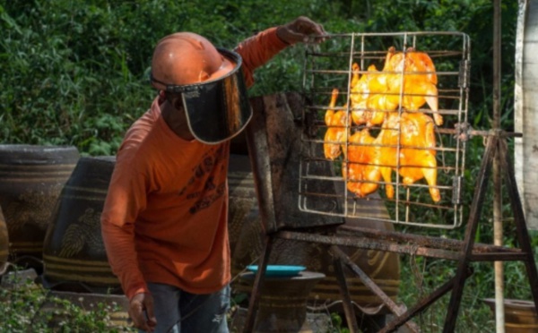 Insolite : Poulet solaire