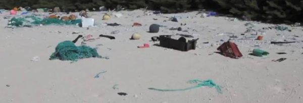 Une île du Pacifique a la plus forte densité de débris plastiques