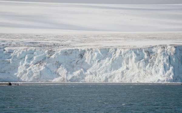 L'Antarctique verdit rapidement sous l'effet du changement climatique