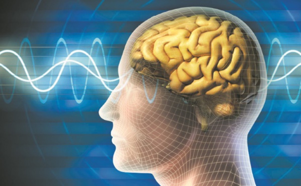 Comment prévenir le vieillissement du cerveau
